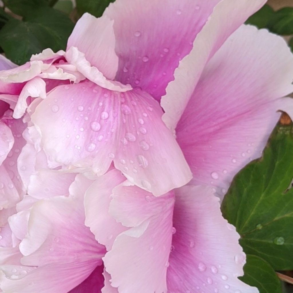 This Writing Prompt…