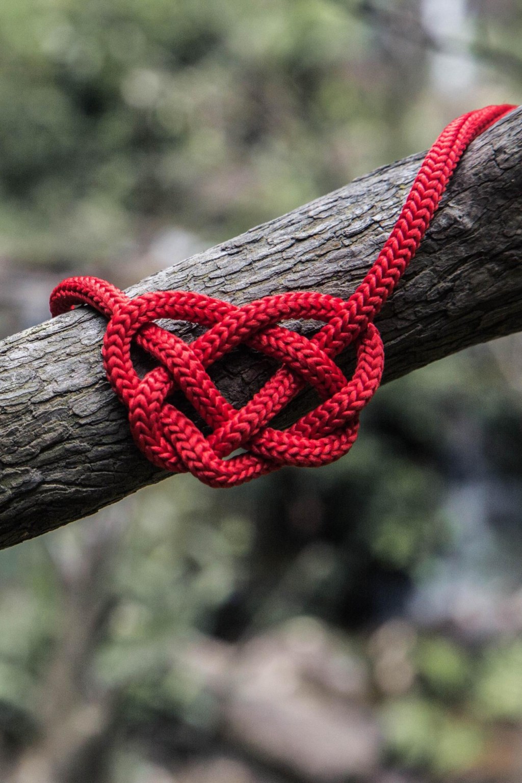 Rose-Coloured Glasses-Yes Please