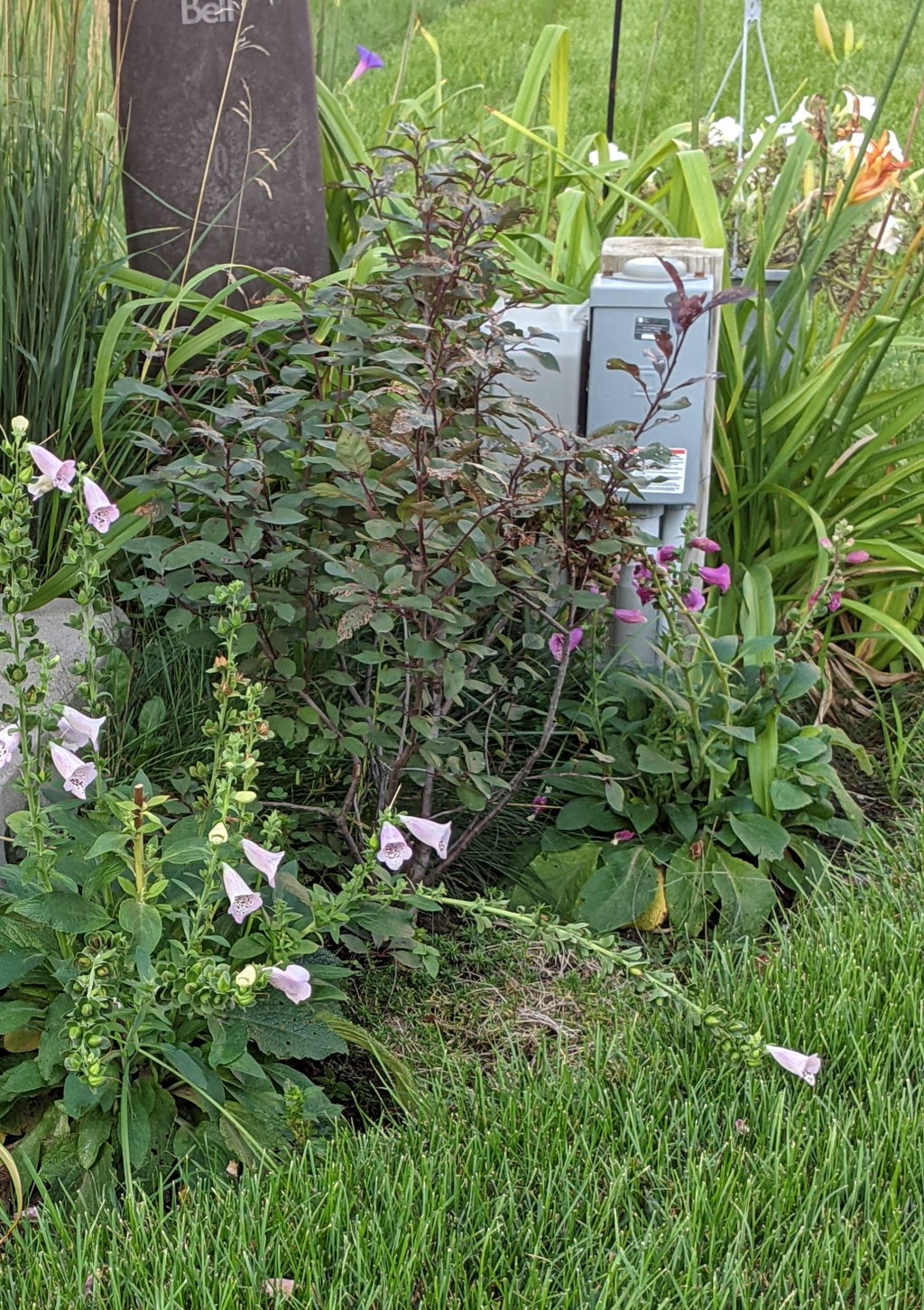 Strength or Weakness