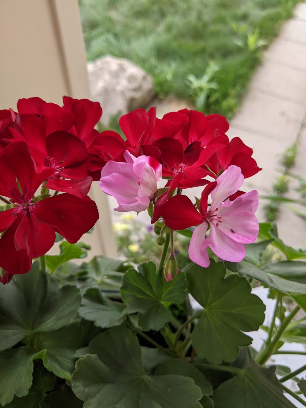 Family & Love&nbsp;Ones…