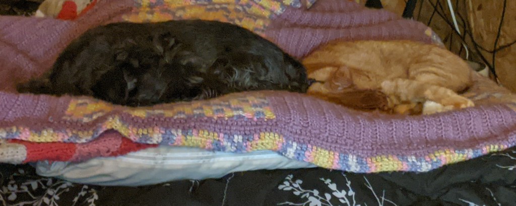 Where Does My Help Come&nbsp;From?