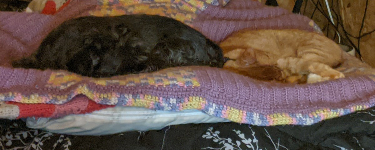 Where Does My Help Come&nbsp;From?